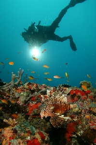 in Maldives, 2005 June