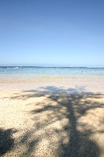 Shadow on beach